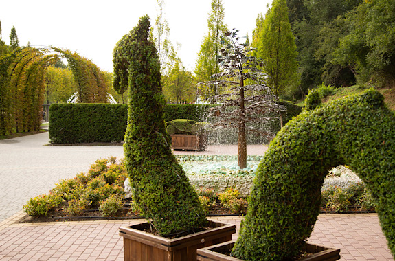 Картинка новая софиевка